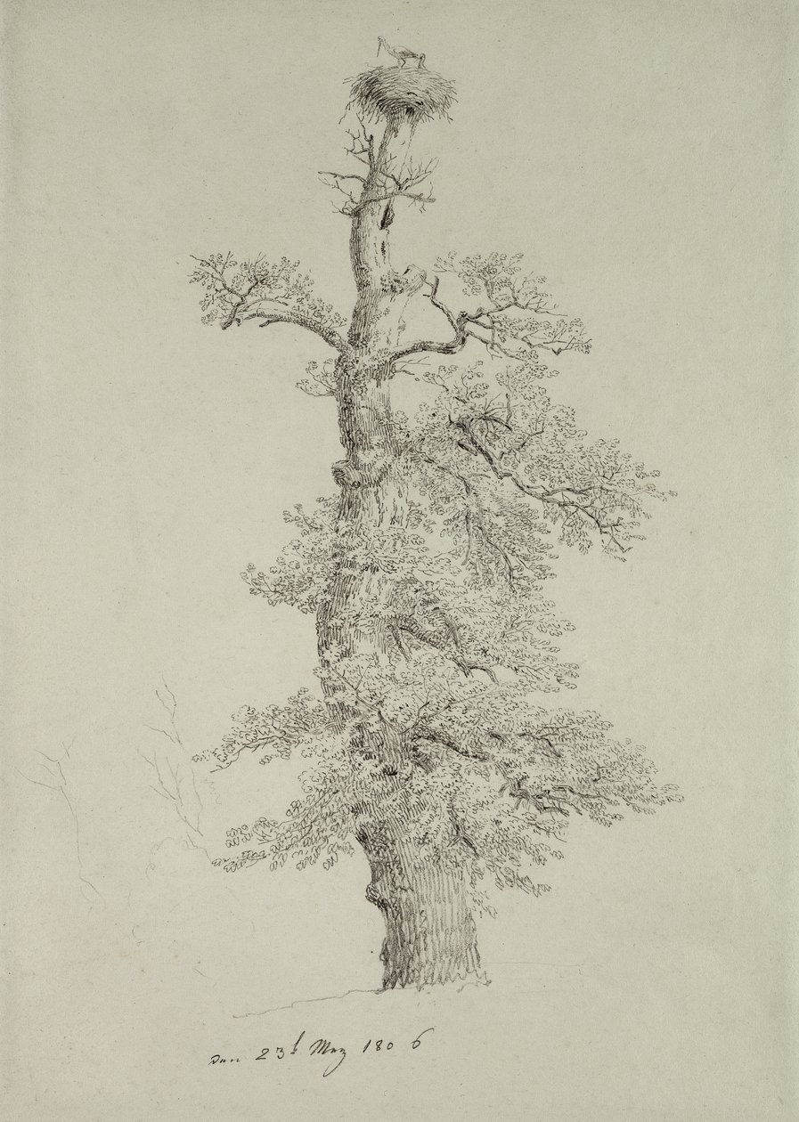 Gammelt egetræ med en storkerede, 23. maj 1806 af Caspar David Friedrich