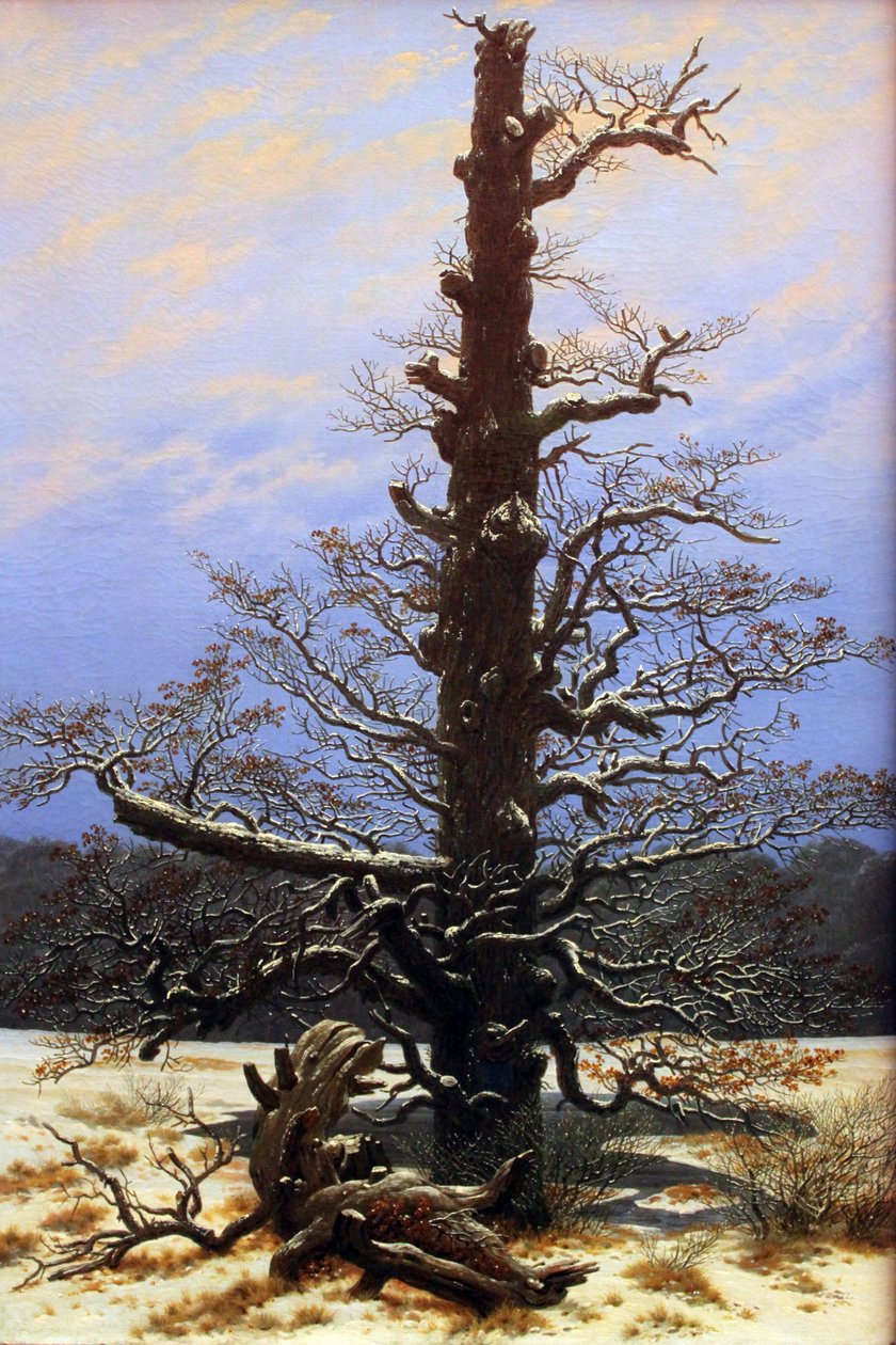 Egetræ i sneen af Caspar David Friedrich