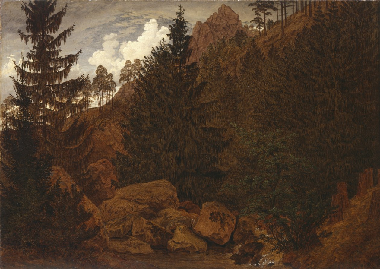 Klippesektion i Harzen af Caspar David Friedrich