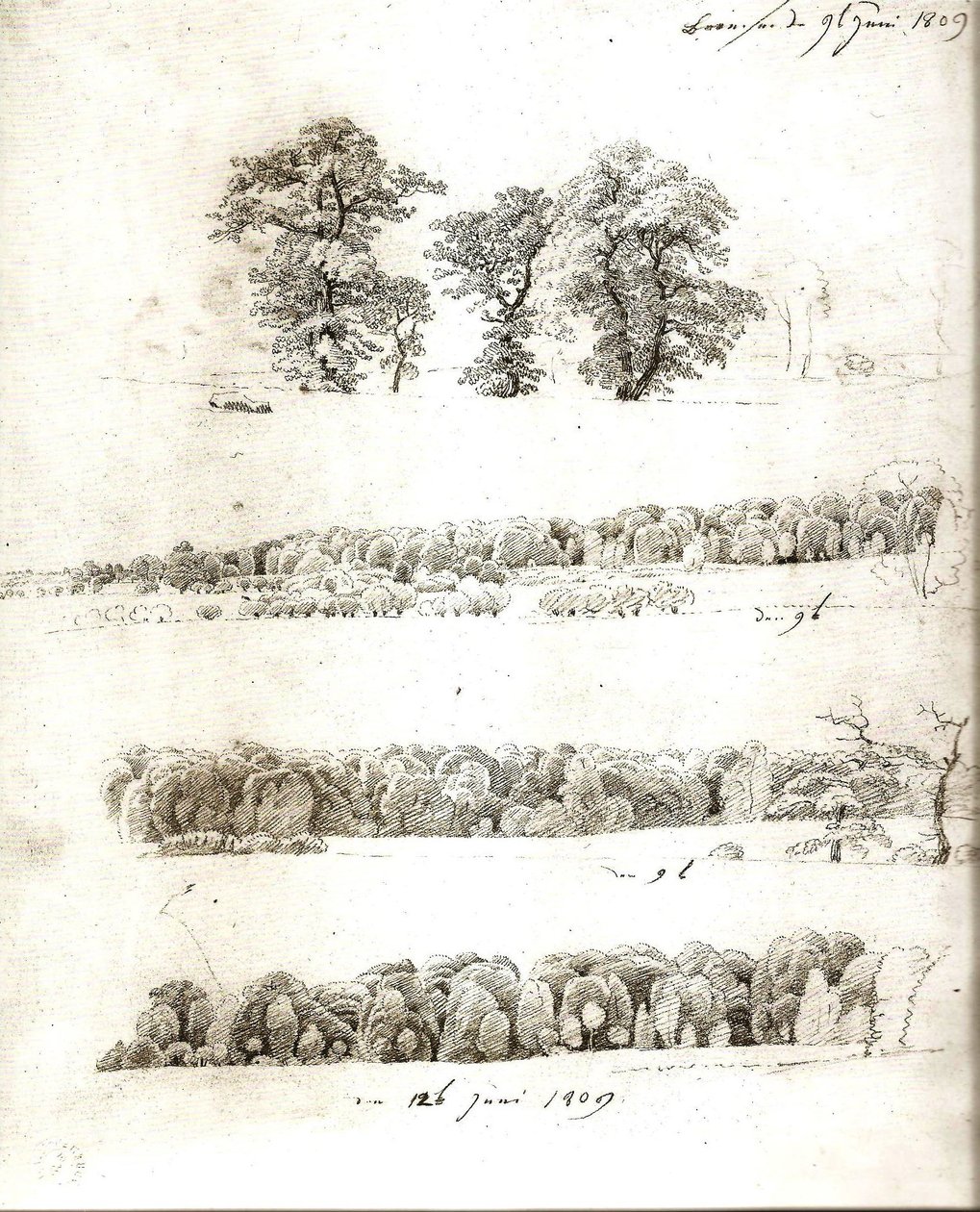Studier af træer 1809 af Caspar David Friedrich