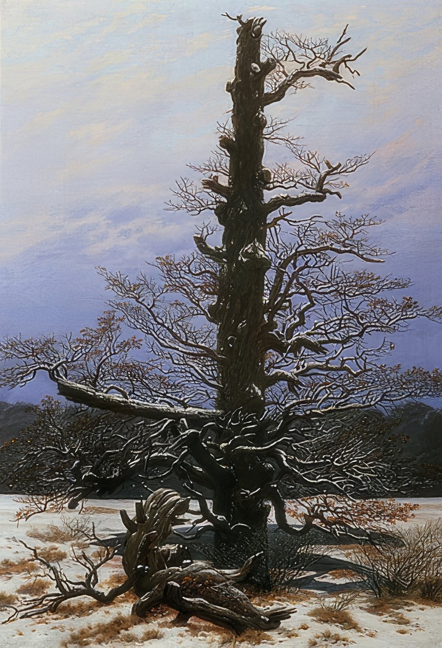 Egetræ i sneen. 1829 af Caspar David Friedrich