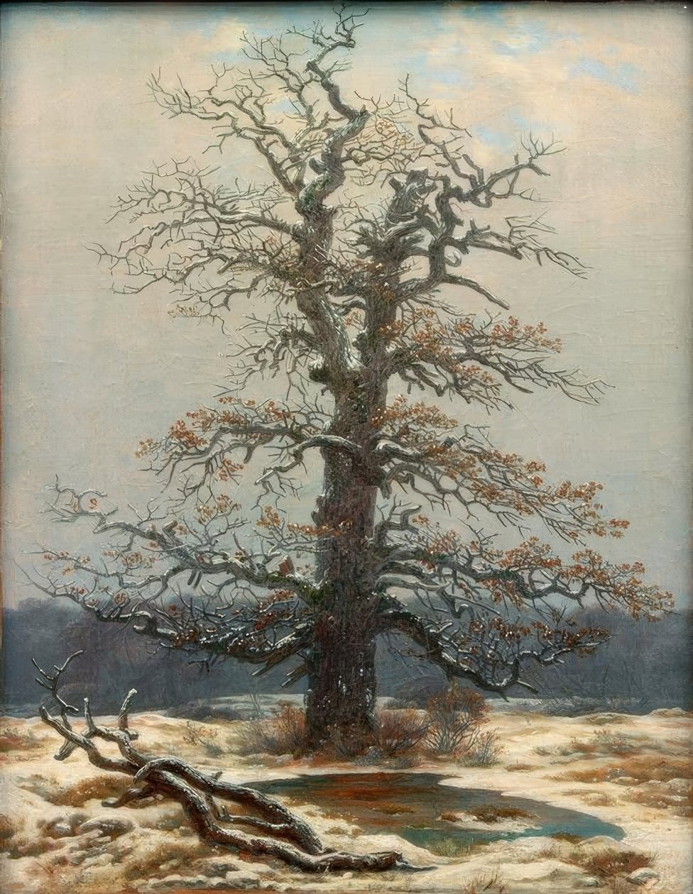 Egetræ i sneen af Caspar David Friedrich