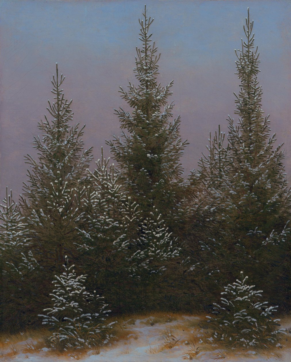 Granbevoksning i sneen (Fra Dresdner Heide I) af Caspar David Friedrich