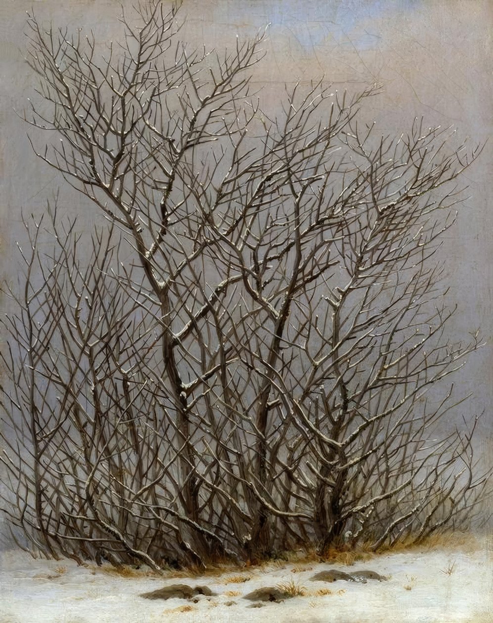 Buske i sneen af Caspar David Friedrich