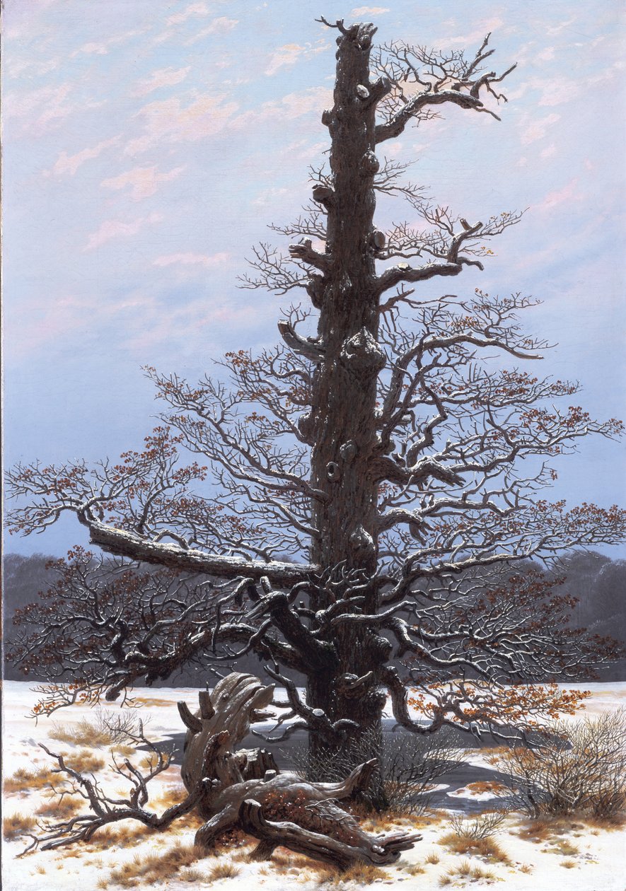 Tysk: Eichbaum im Schnee Egetræet i sneen af Caspar David Friedrich