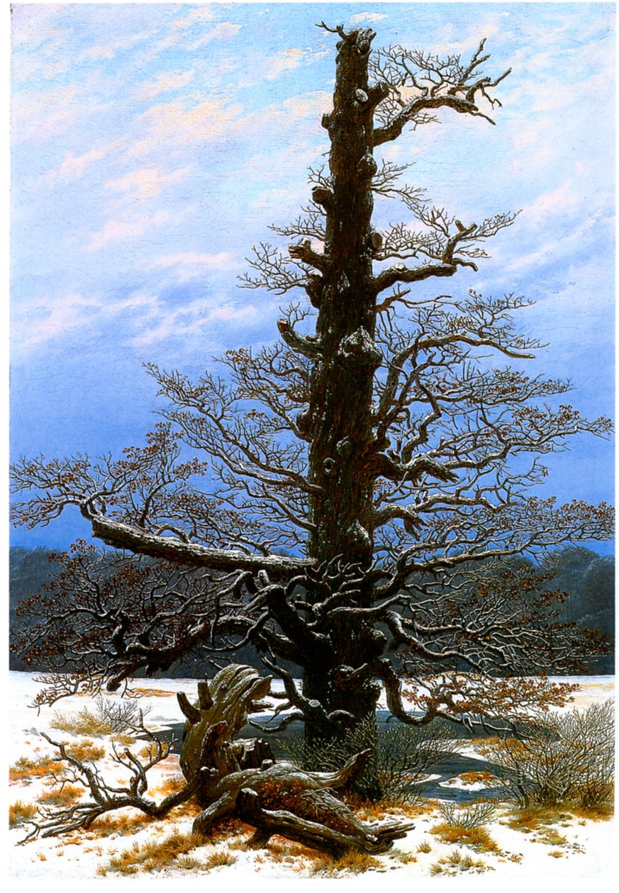 Tysk: Eichbaum im Schnee Egetræet i sneen af Caspar David Friedrich