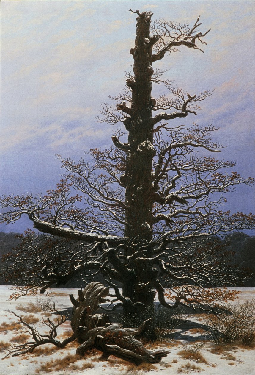Egetræ i sneen af Caspar David Friedrich