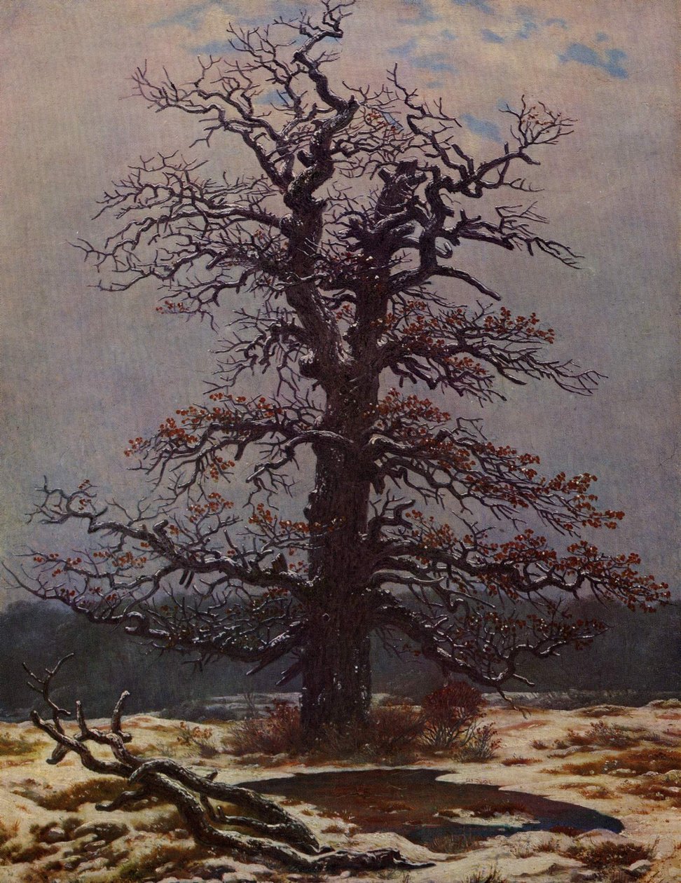 Eg i sneen af Caspar David Friedrich