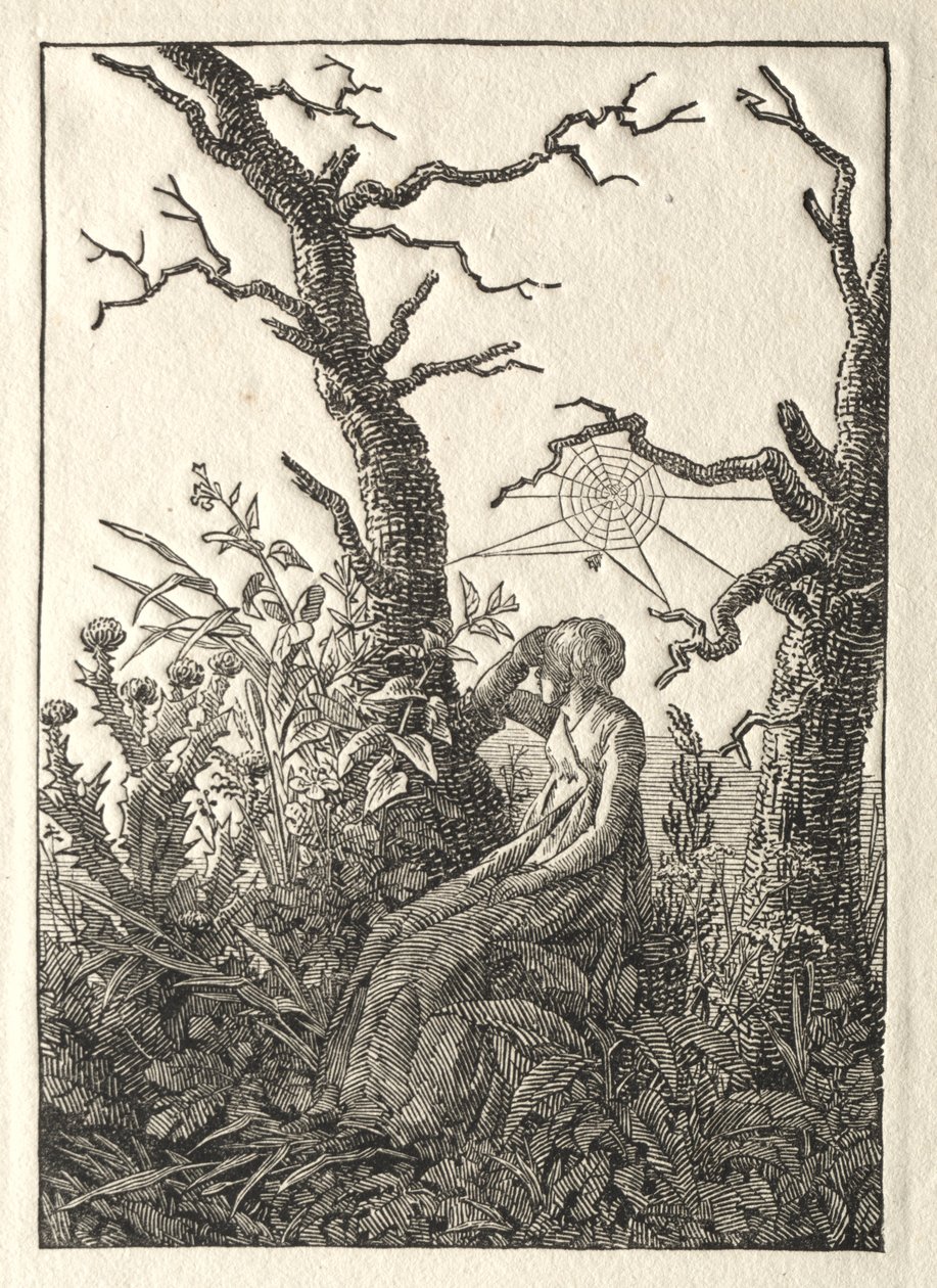 Kvinden med edderkoppevævet mellem bare træer, 1803. af Caspar David Friedrich