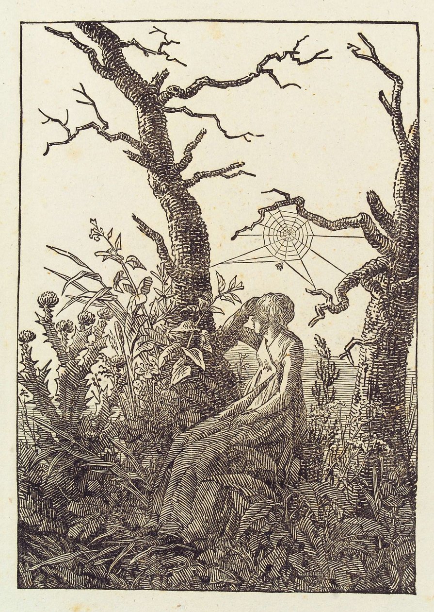 Kvinden med edderkoppespindet af Caspar David Friedrich