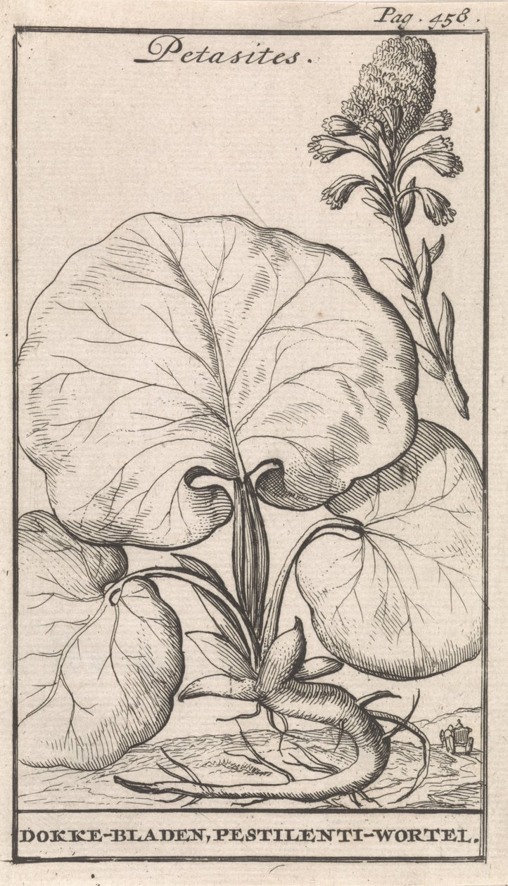 Petasiter af Caspar Luyken