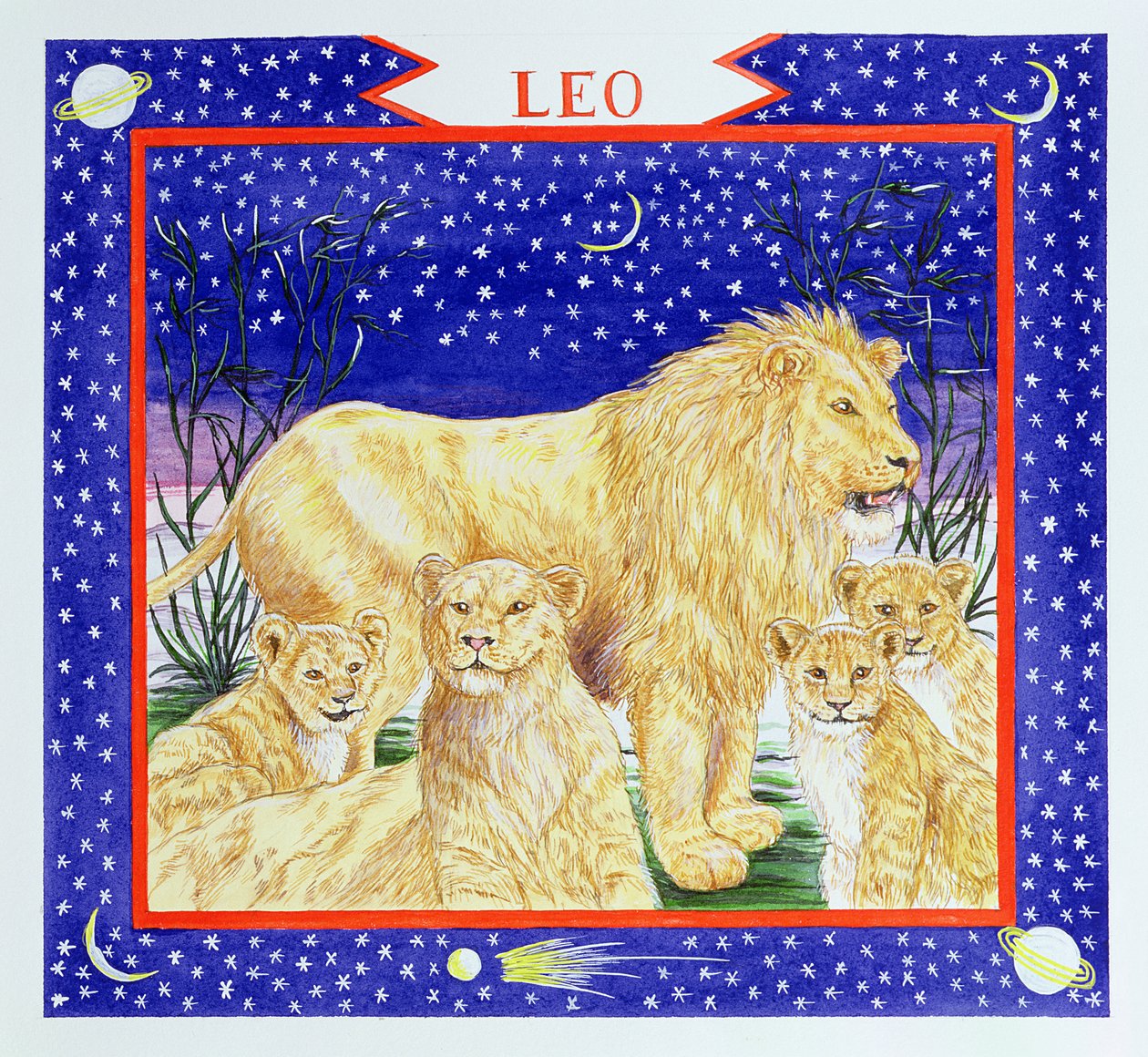Leo (wc på papir) af Catherine Bradbury