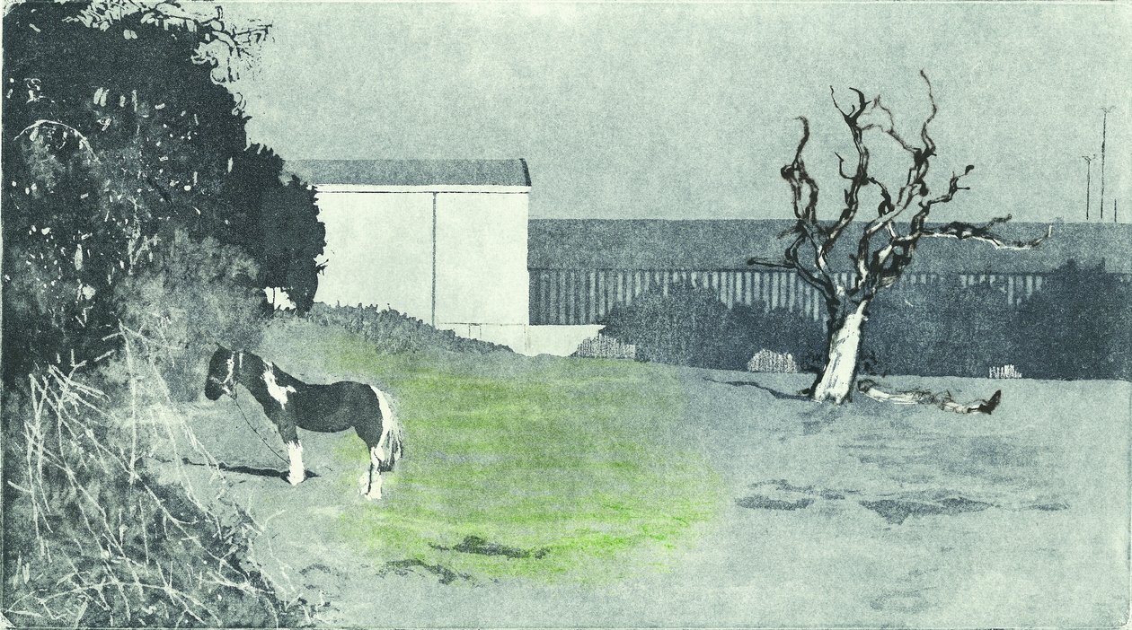 Facing new growth, 2016 (Akvatinte-ætsning og tørnål) af Catherine Sutcliffe-Fuller