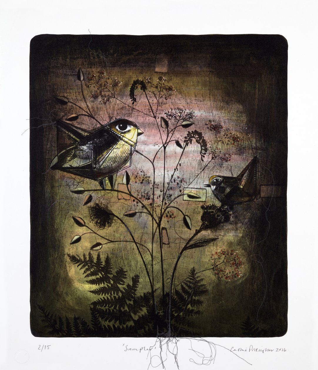 Sampler, 2016 (mokulito-litografi med håndkolorering) af Cathie Pilkington