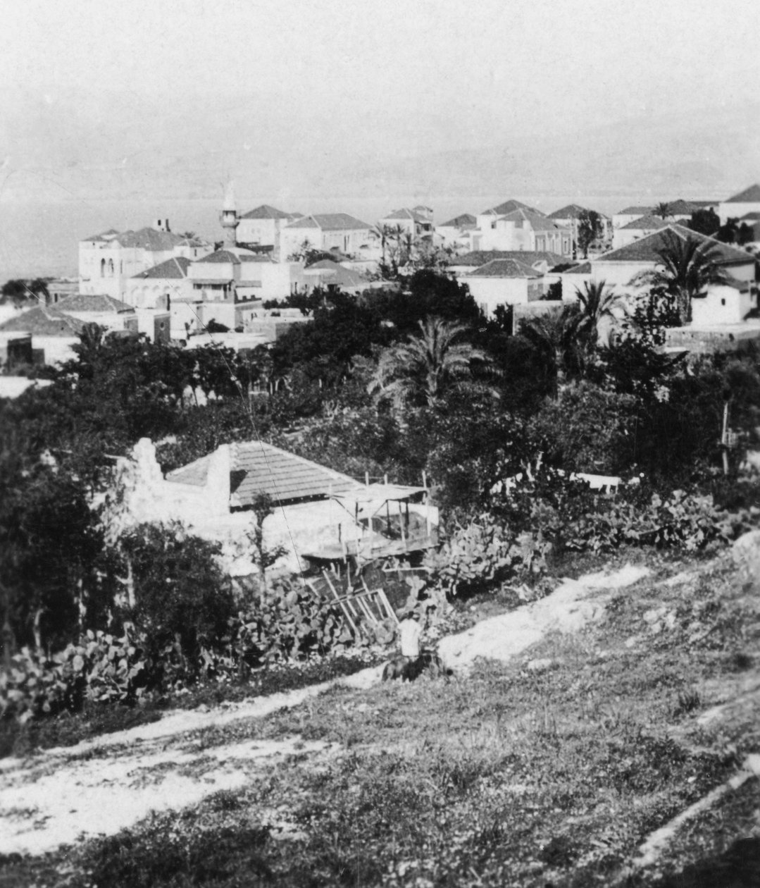 Beirut fra American College, Libanon, c1927-c1931. af Cavanders Ltd
