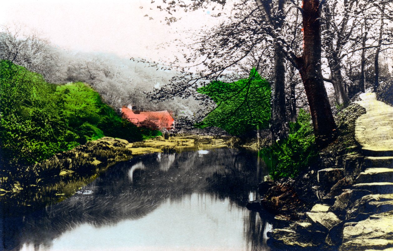 Jesmond Dene, Newcastle-upon-Tyne, Tyne & Wear, 1926. af Cavenders Ltd