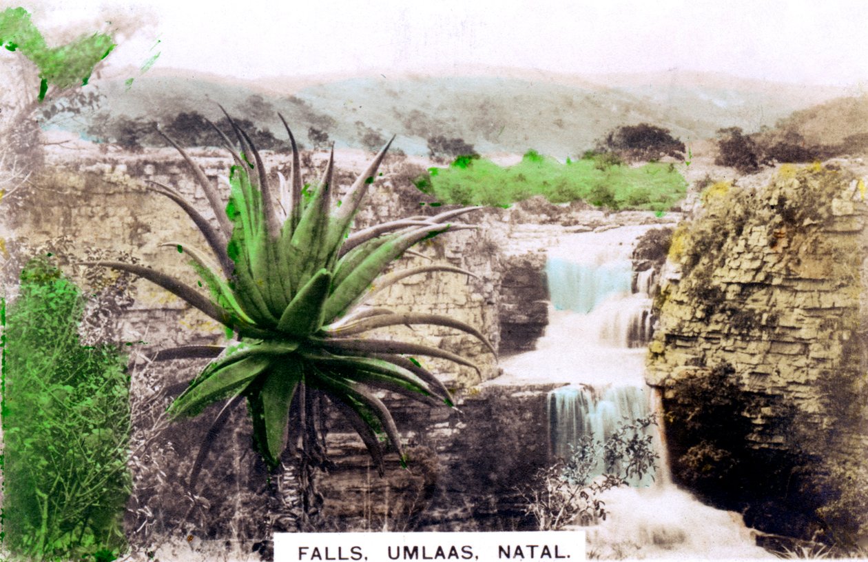 Umlaas Falls, Sydafrika, c1920