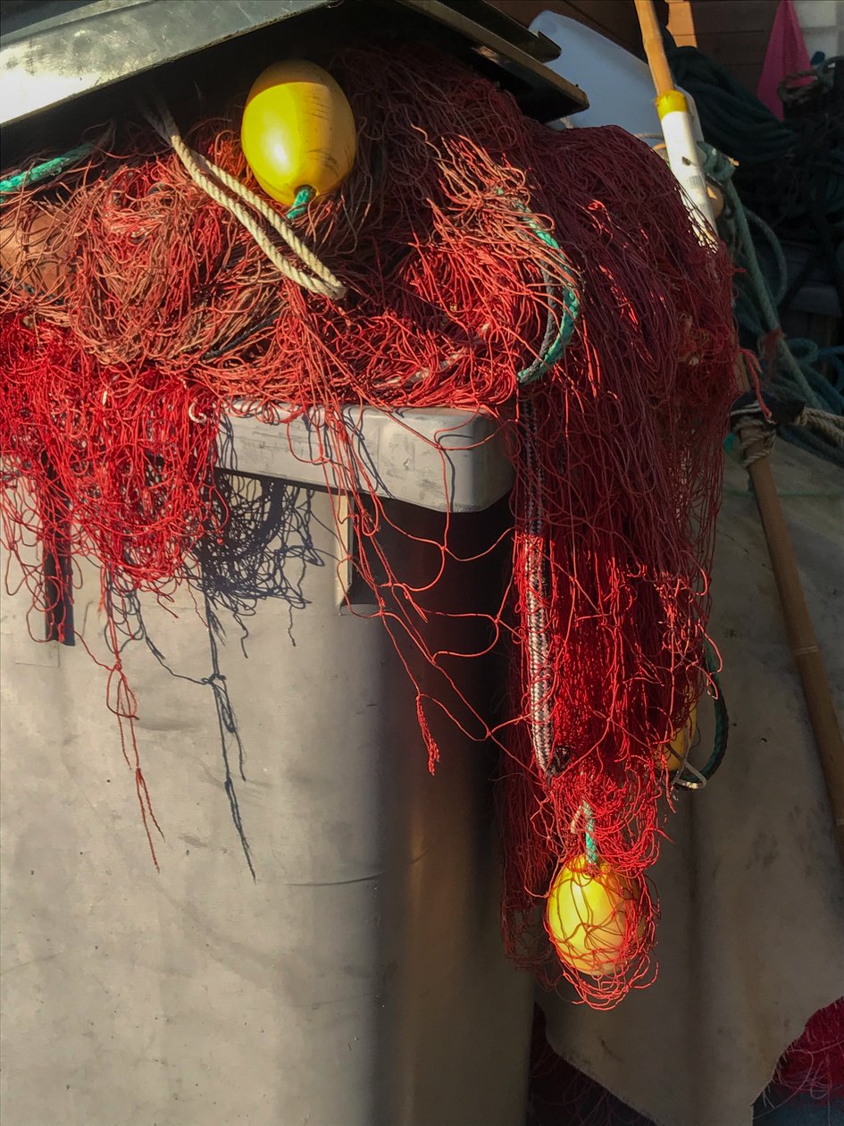 Komposition - Nets, 2019 (foto) af Cécile Jamet