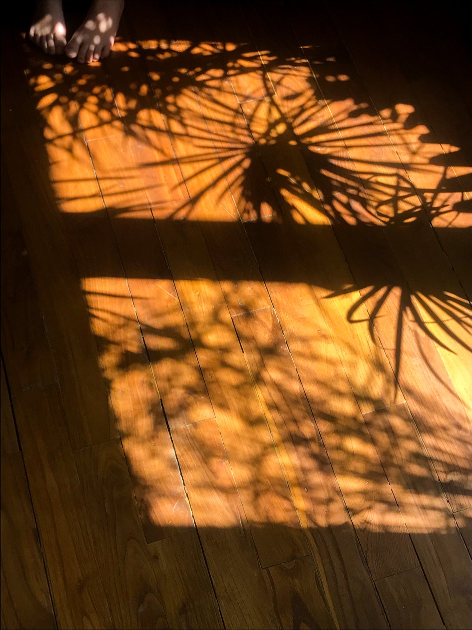 Komposition - Skygger, 2019 (foto) af Cécile Jamet