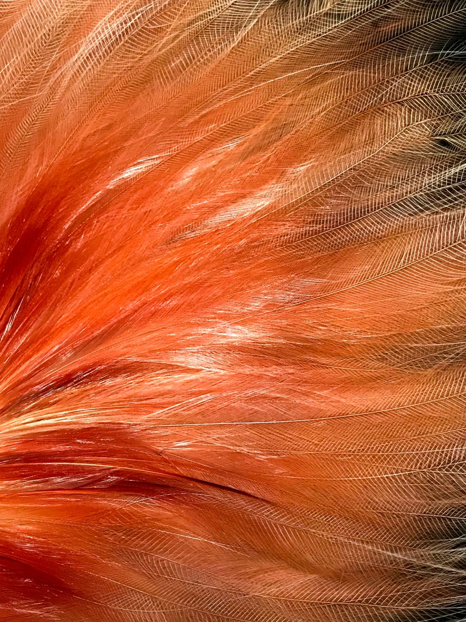 Komposition - Tekstur, 2019 (foto) af Cécile Jamet
