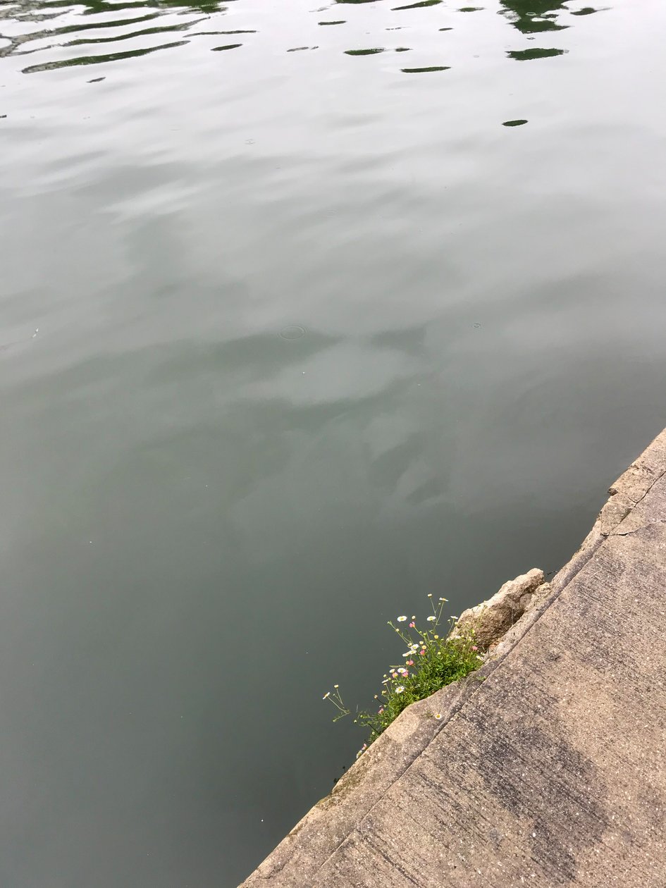 Komposition, 2019 (foto) af Cécile Jamet
