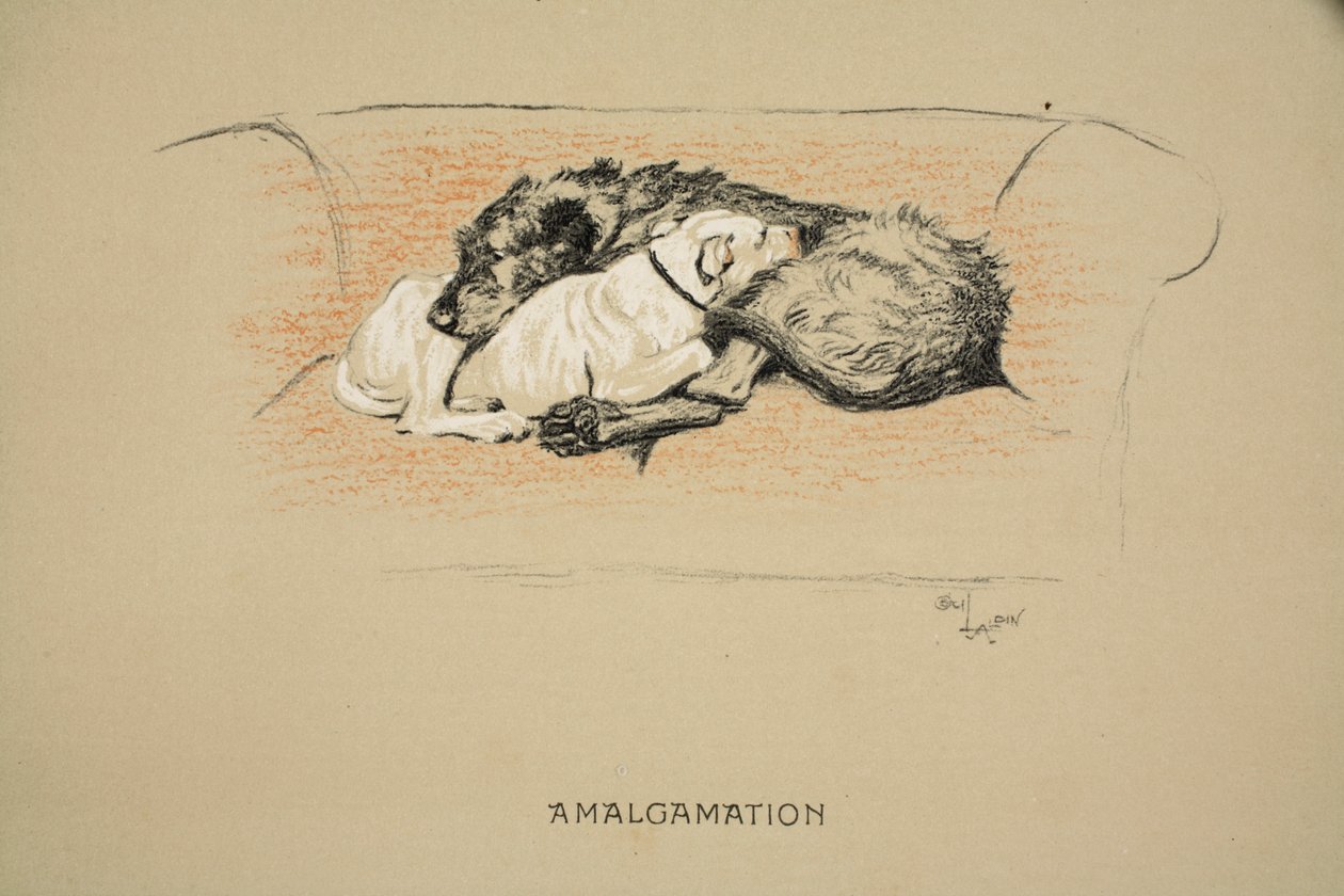 Amalgamation, 1930, 1. udgave af 