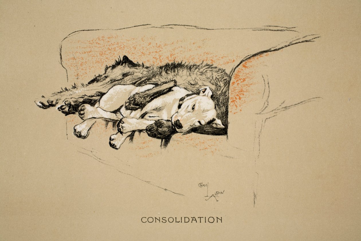 Consolation, 1930, 1. udgave af "Sleeping Partners", Aldin, Cecil Charles Windsor (1870-1935), udgivet af Eyre and Spottiswoode Limited, kridt og kul på papir af Cecil Charles Windsor Aldin