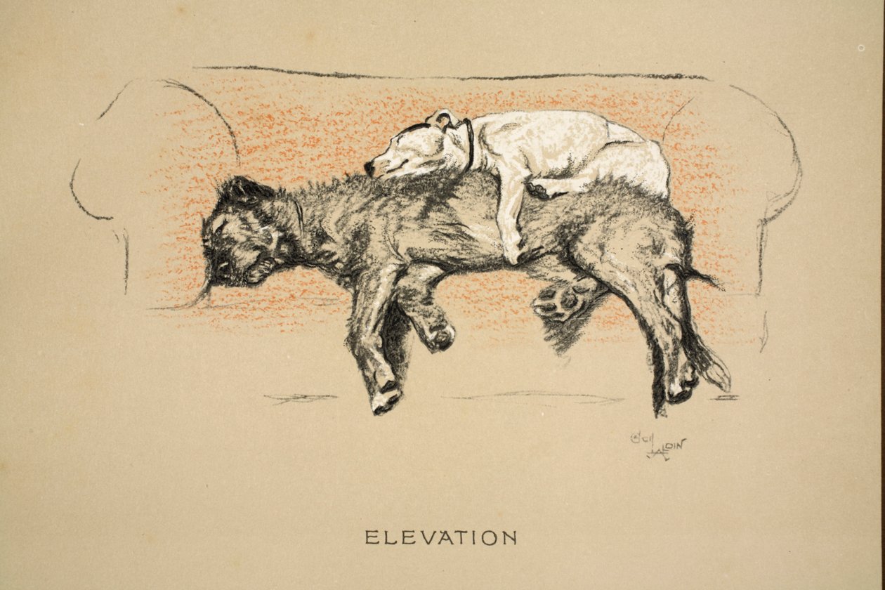 Elevation, 1930, 1. udgave af 