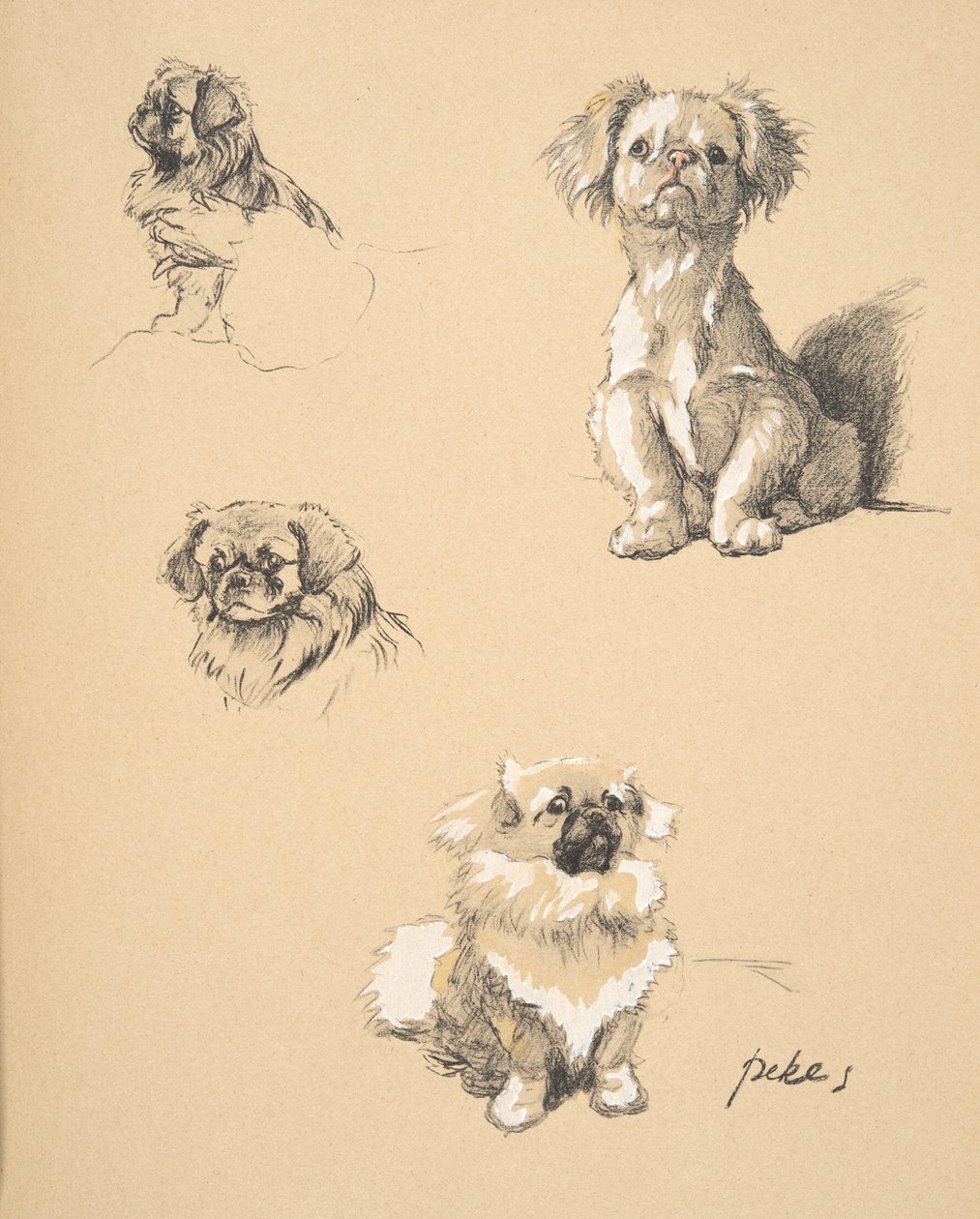 Pekes, 1930, Illustrationer fra hans skitsebog brugt til 