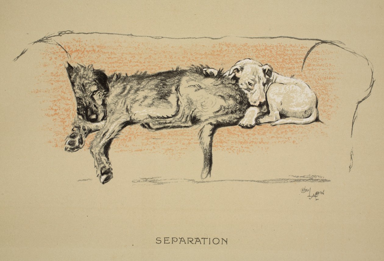 Separation, 1930, 1. udgave af "Sleeping Partners", Aldin, Cecil Charles Windsor (1870-1935), udgivet af Eyre and Spottiswoode Limited, kridt og kul på papir af Cecil Charles Windsor Aldin