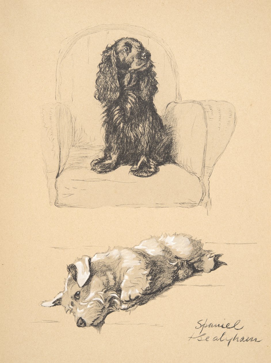 Spaniel og Sealyham, 1930, Illustrationer fra hans skitsebog brugt til 