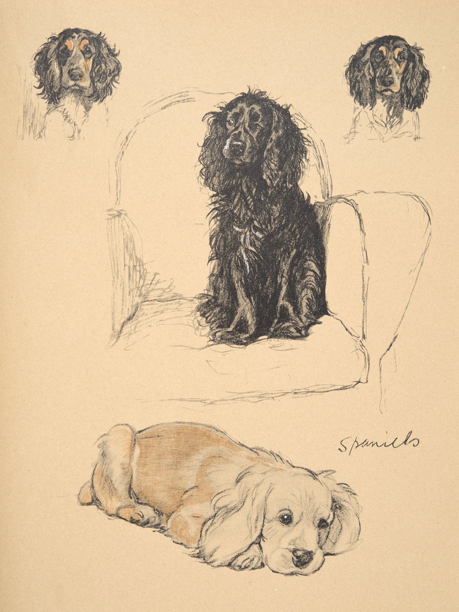 Spaniels, 1930, Illustrationer fra hans skitsebog brugt til 