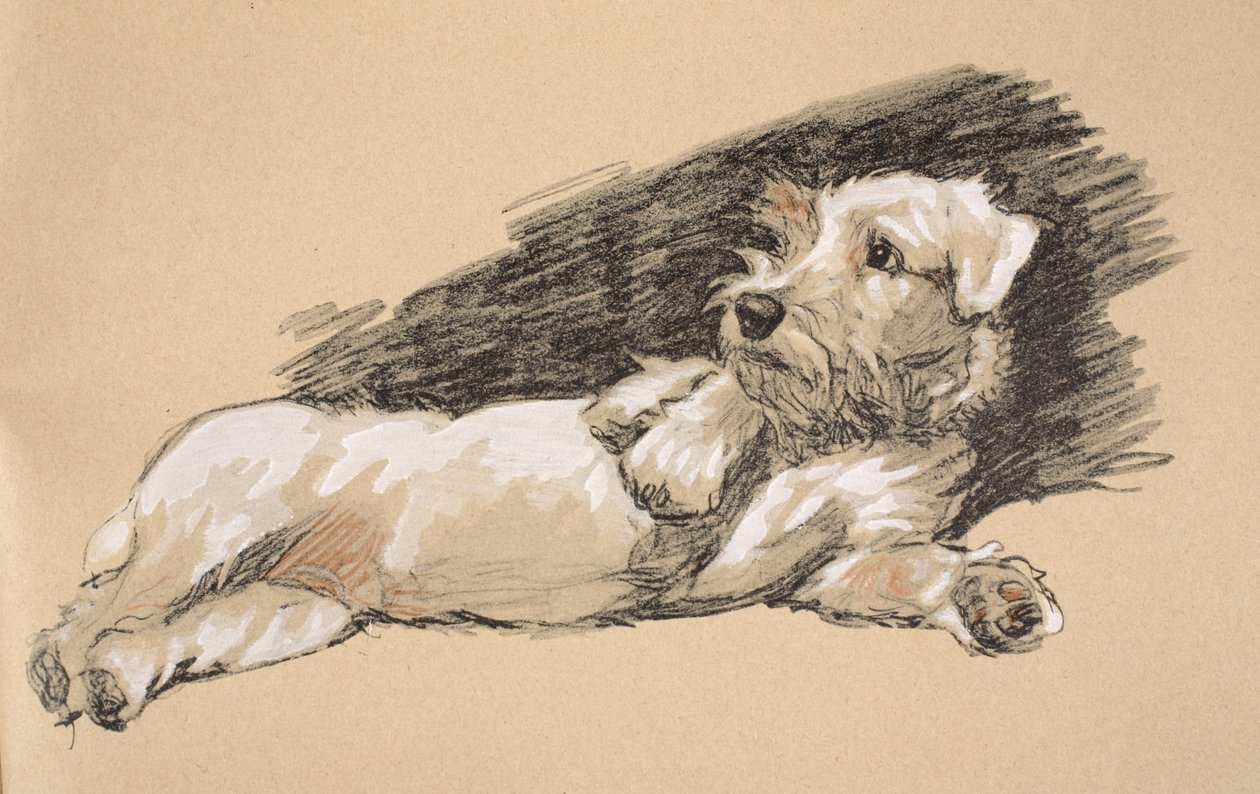 Terrier Detail, 1930, Illustrationer fra hans skitsebog brugt til 