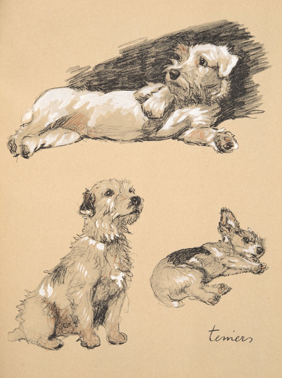 Terriers, 1930, Illustrationer fra hans skitsebog brugt til 
