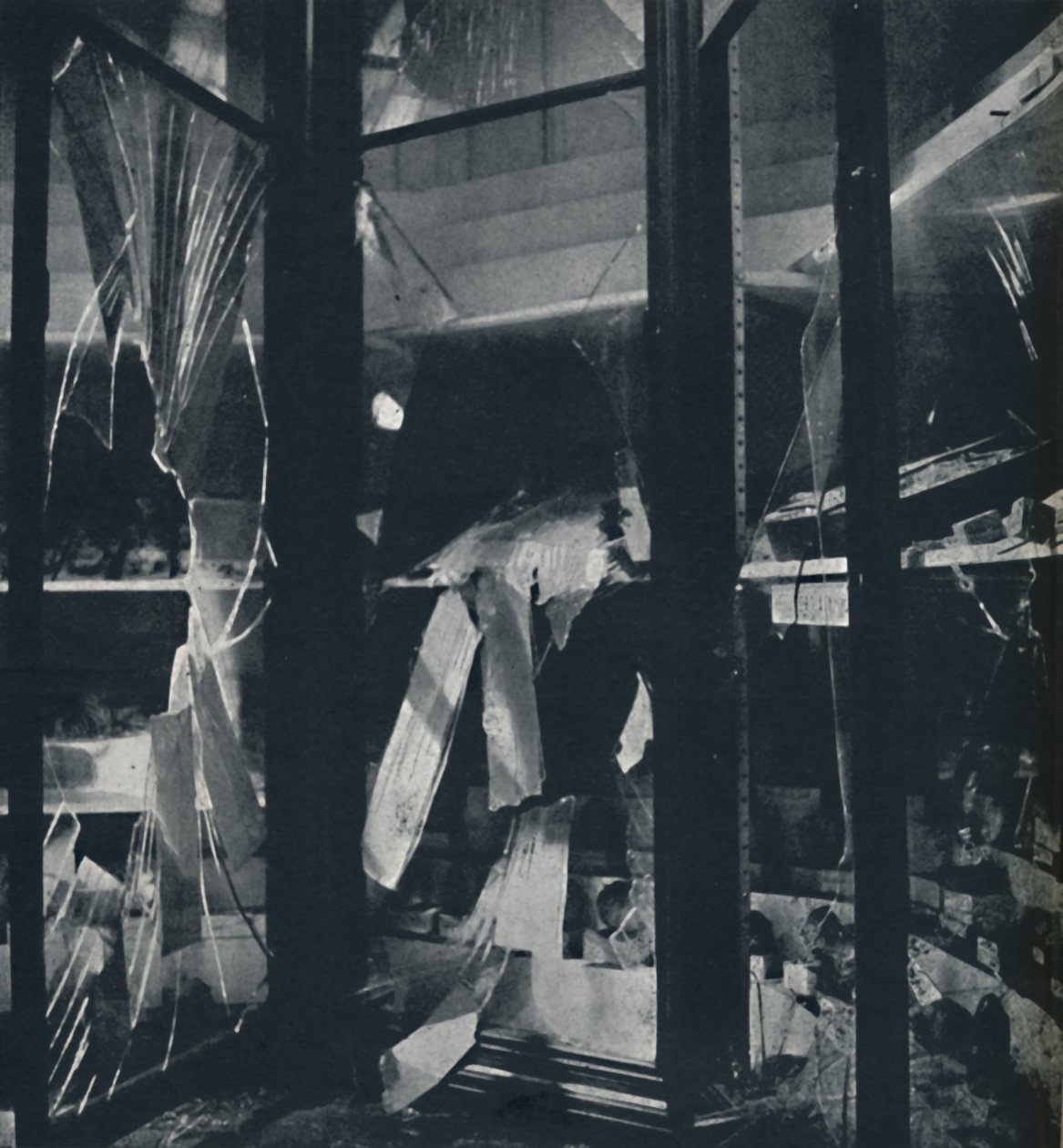 Udstillingssager i Naturhistorisk Museum, 1941 af Cecil Beaton