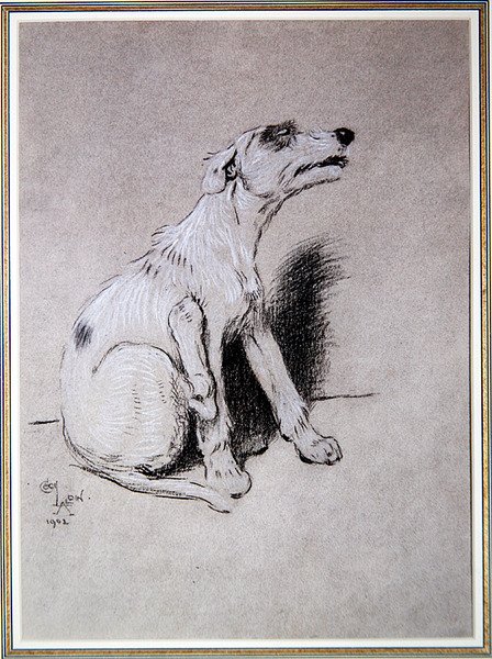 "5:15 Vækket af et slemt anfald af eksem", illustration fra A Dog Day af Walter Emanuel af Cecil Charles Windsor Aldin