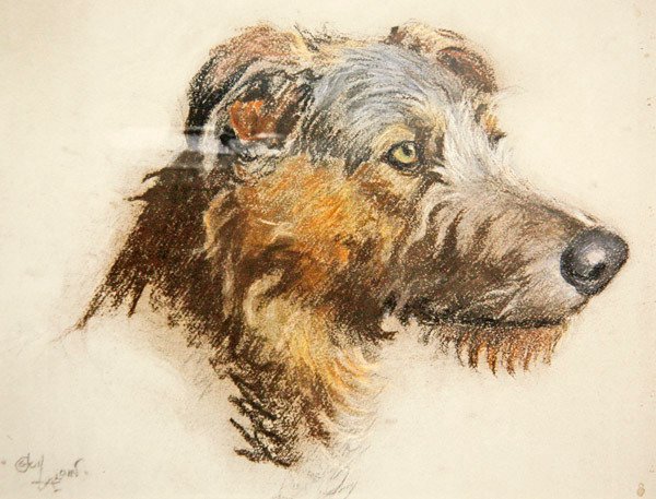 En skotsk hjortehund (pastel på tonet papir) af Cecil Charles Windsor Aldin