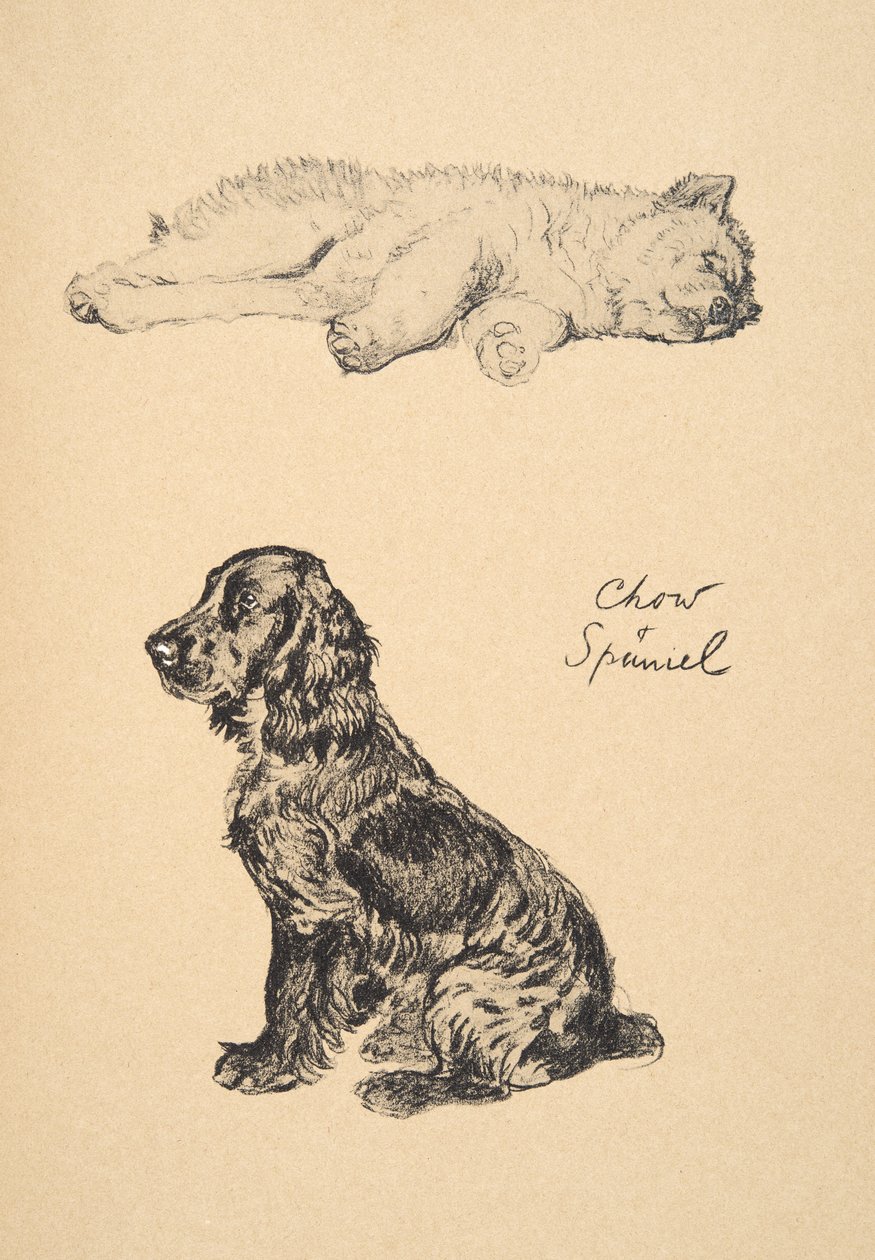 Chow and Spaniel, 1930, Illustrationer fra hans skitsebog brugt til 