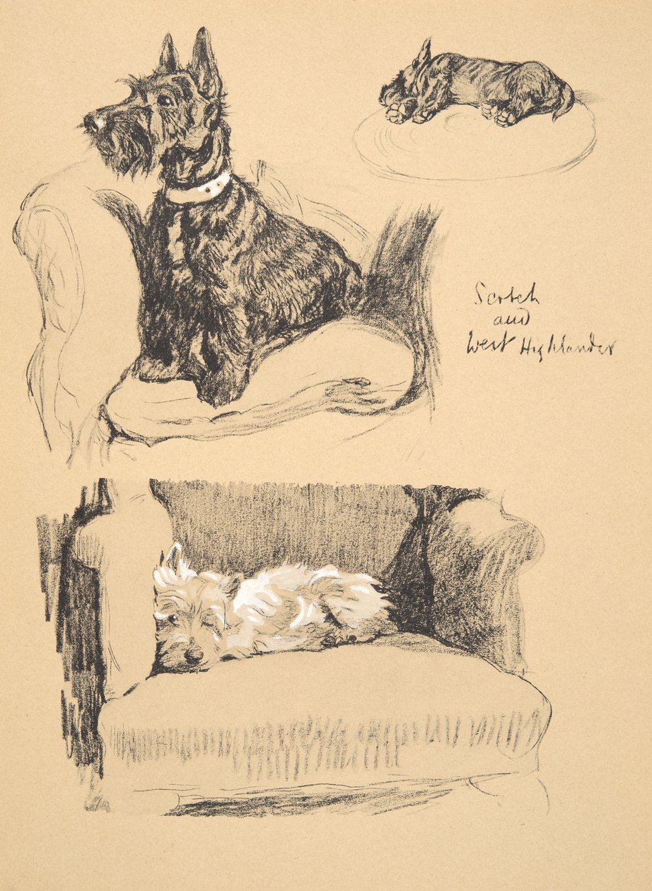 Scotch and West Highlander, 1930, Illustrationer fra hans skitsebog brugt til Just Among Friends, Aldin, Cecil Charles Windsor (1870-1935), senere udgivet af Eyre og Spottiswoode Limited, 1934, Chal af Cecil Charles Windsor Aldin
