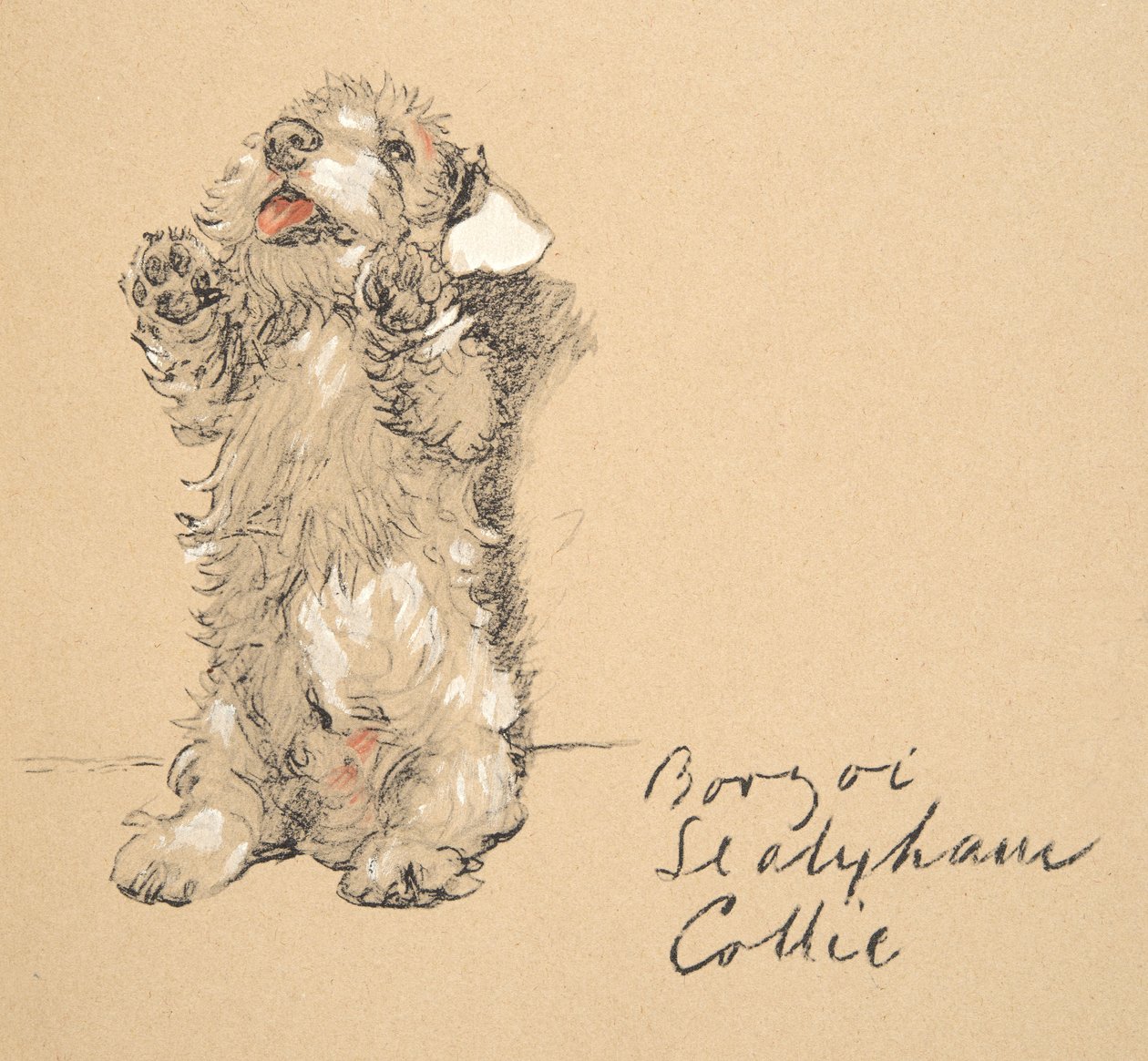 Sealyham, 1930, illustrationer fra hans skitsebog brugt til Just Among Friends, senere udgivet af Eyre og Spottiswoode Limited, 1934 (kridt og trækul på papir) af Cecil Charles Windsor Aldin