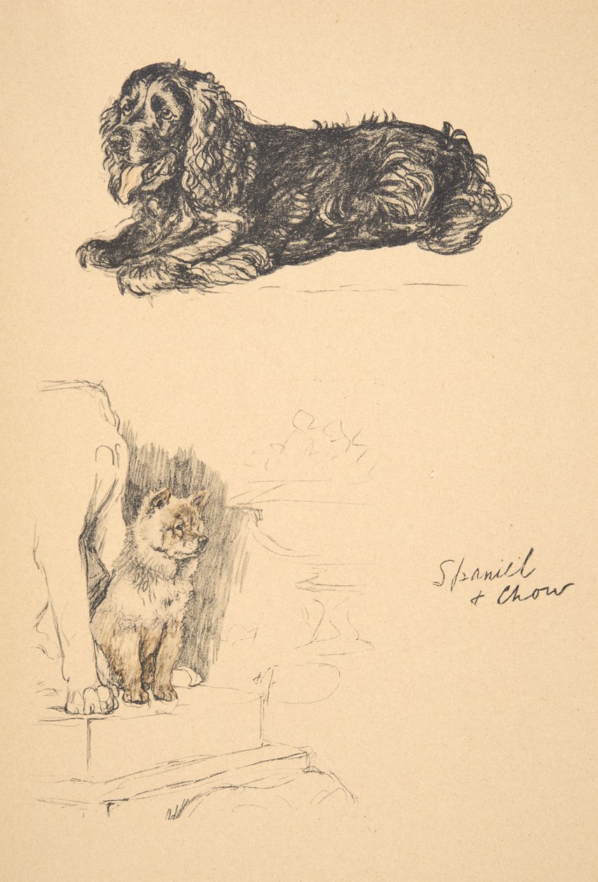 Spaniel and Chow, 1930, Illustrationer fra hans skitsebog brugt til Just Among Friends, Aldin, Cecil Charles Windsor (1870-1935), senere udgivet af Eyre og Spottiswoode Limited, 1934, Chalk and Char af Cecil Charles Windsor Aldin