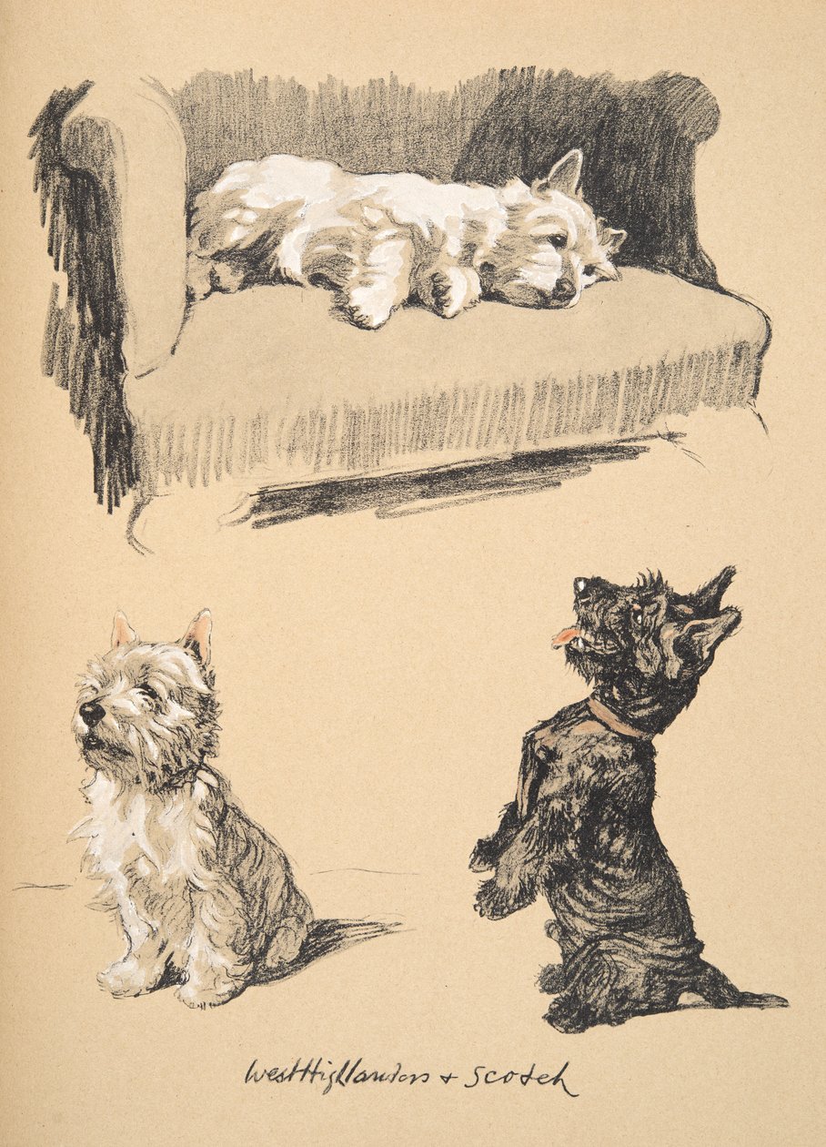 West Highlanders and Scotch, 1930, illustrationer fra hans skitsebog brugt til Just Among Friends, senere udgivet af Eyre og Spottiswoode Limited, 1934 (kridt og trækul på papir) af Cecil Charles Windsor Aldin