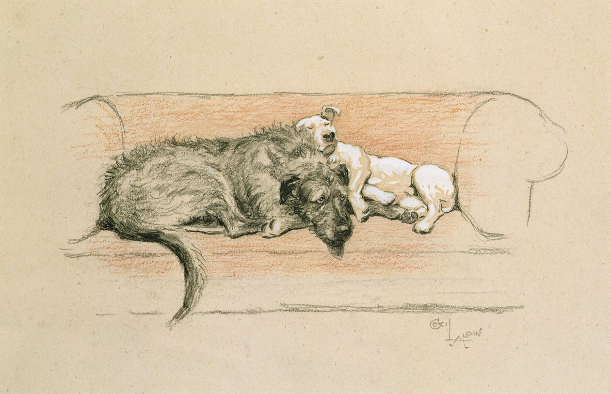 Ulvehund og bullterrier sovende på en sofa (pastel på papir) af Cecil Charles Windsor Aldin