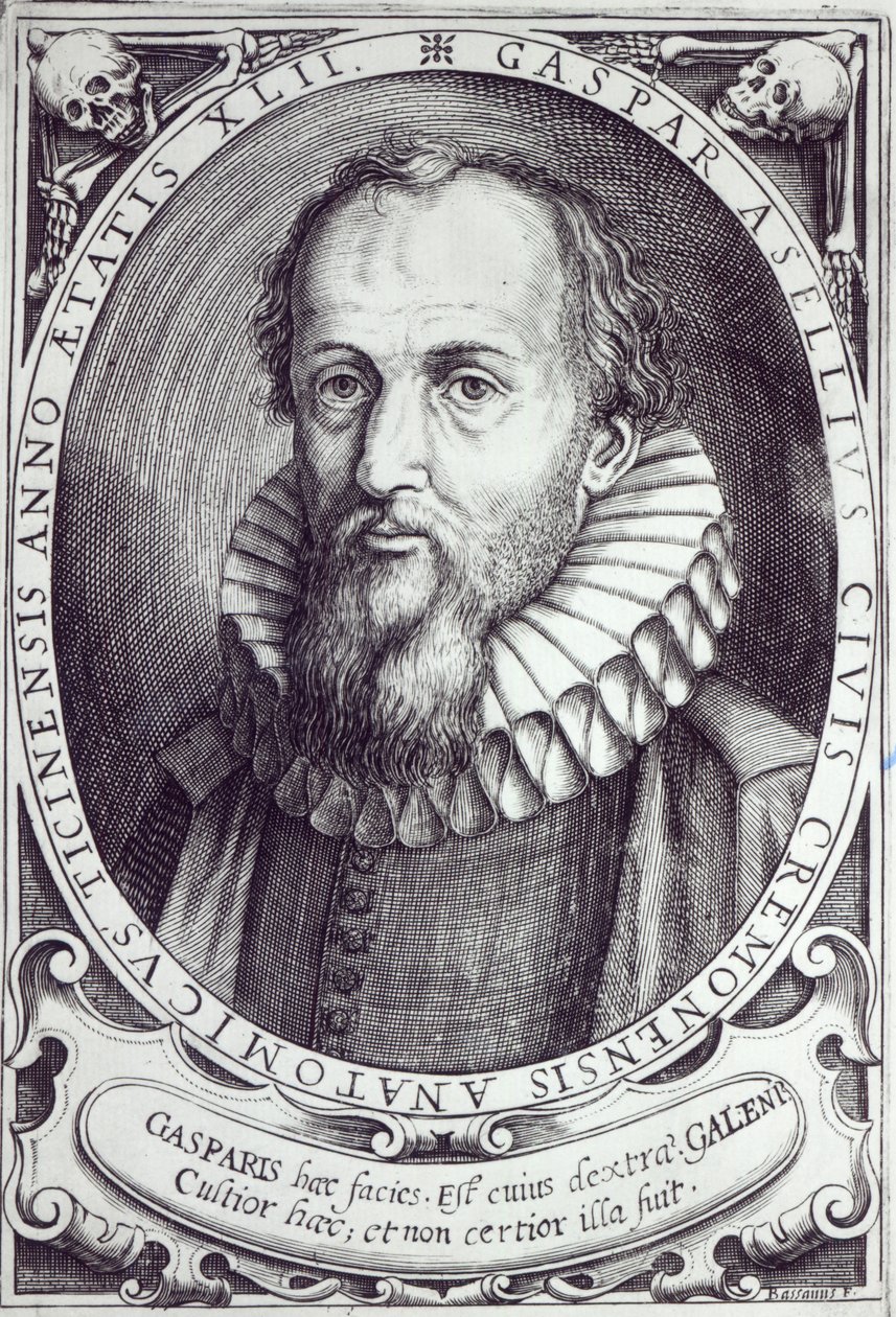 Gaspare Aselli af Cesare Bassano