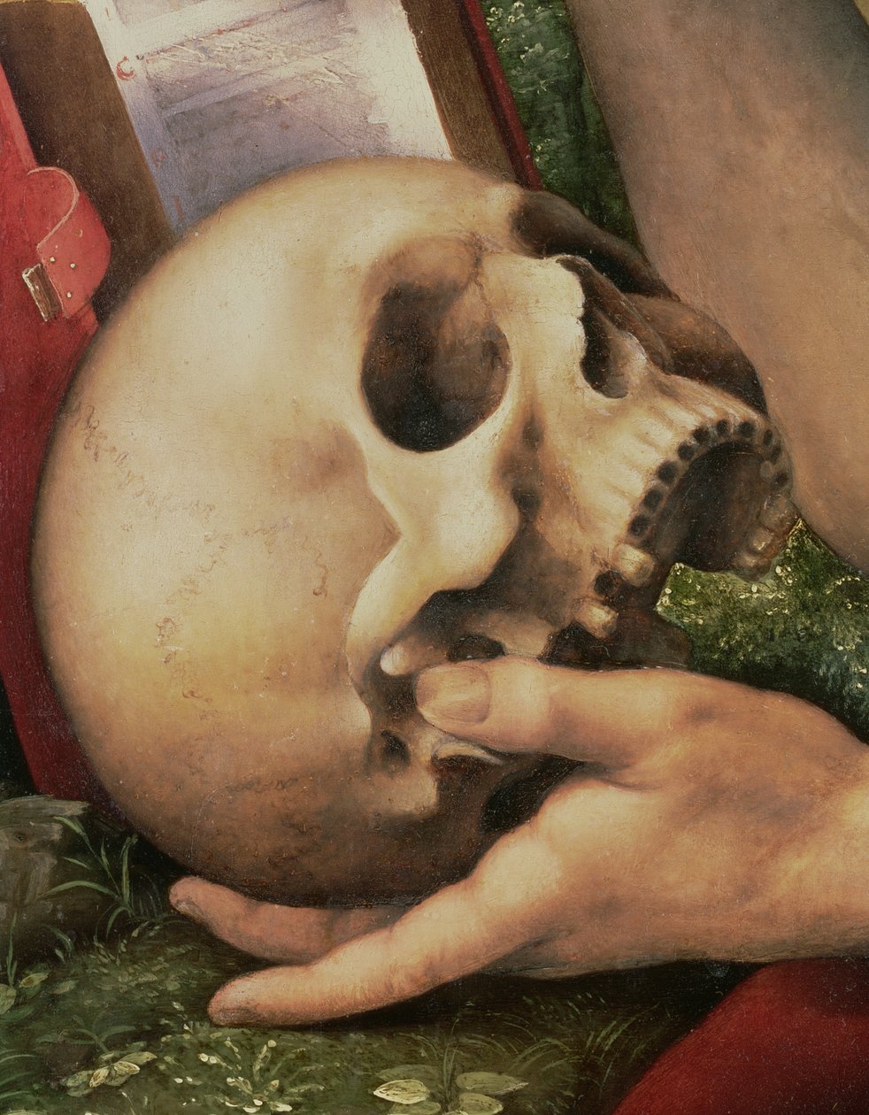 St. Hieronymus, detalje af kraniet (detalje af 112517) af Cesare da Sesto