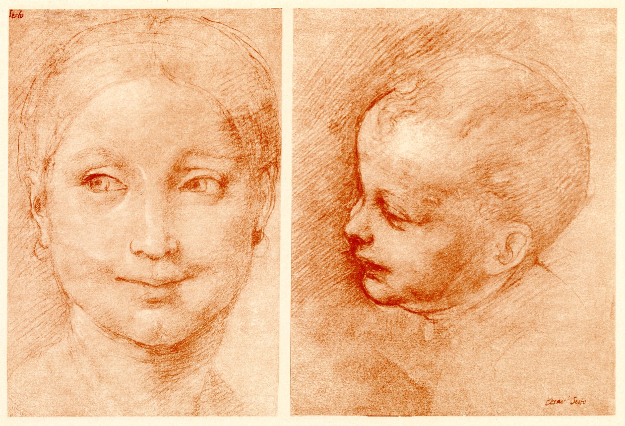 Hovedstudier af Cesare da Sesto