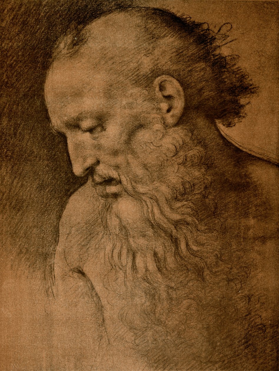 Tag til St. Jerome af Cesare da Sesto
