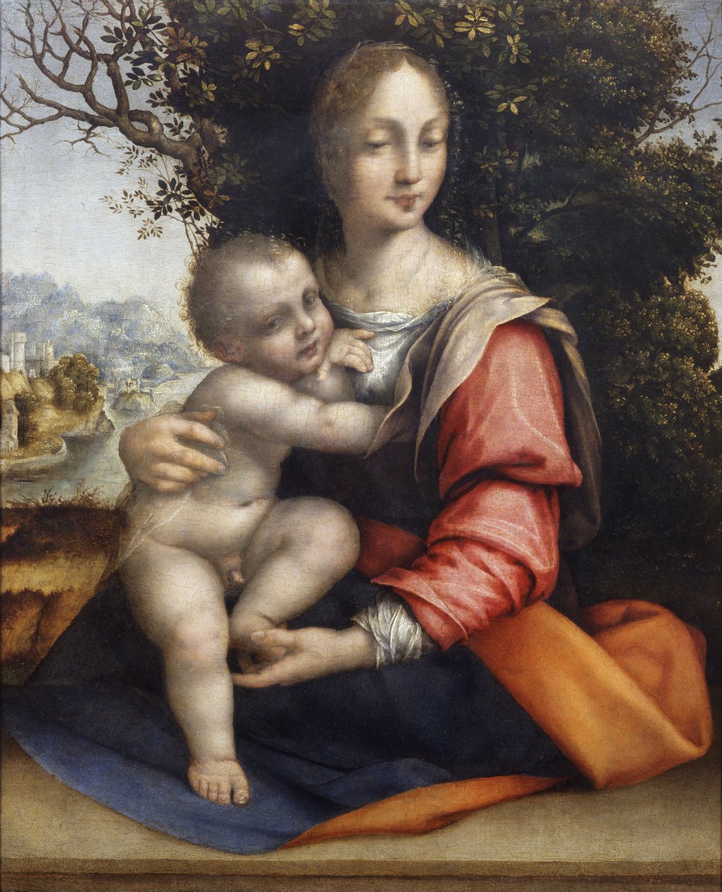 Madonna og barn (Vor Frue af træet) af Cesare da Sesto