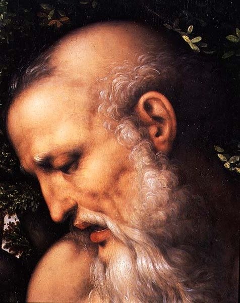 Sankt Hieronymus, detalje af helgenens hoved (olie på panel) (detalje af 112517) af Cesare da Sesto
