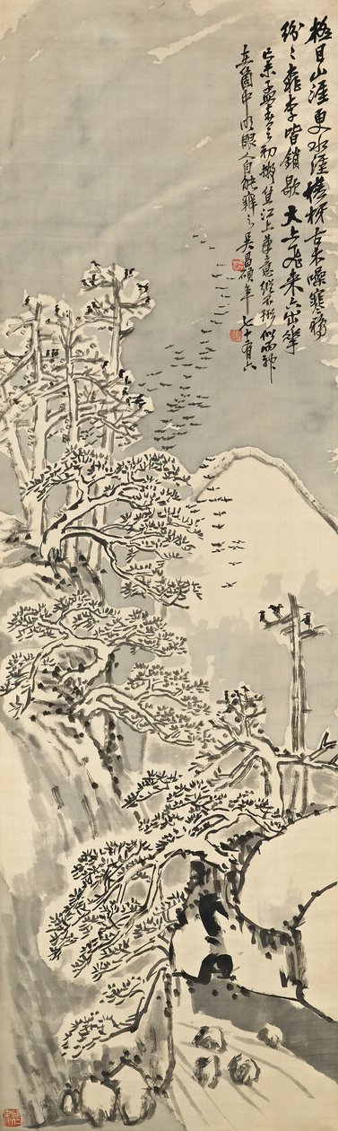 Snefyldt vinter af Changshuo Wu